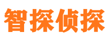 元氏出轨调查